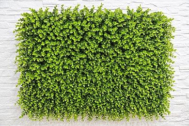 Atlus网站图片出现神秘代号 或与《女神异闻录6》有关